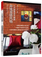 小户型装出大格局 异域混搭风格