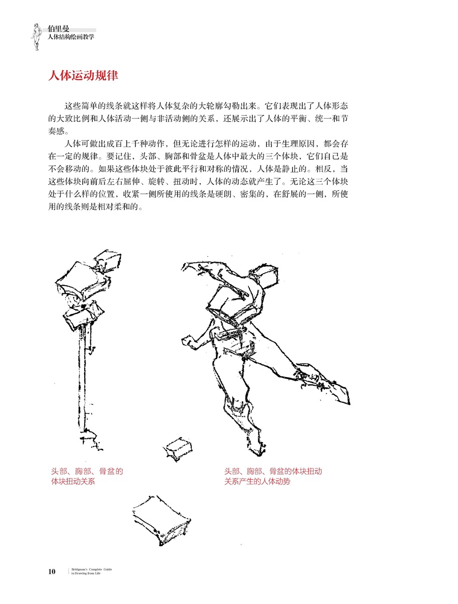 伯里曼人体结构绘画教学-天津建筑图书-天津执考用书-天津凤凰