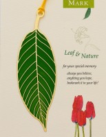 LC-14田园之叶子草绿