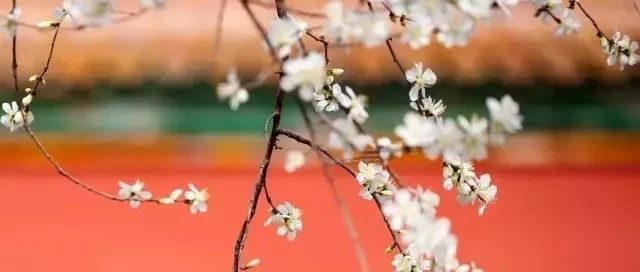 没抢到故宫口红？那就把故宫色请回家吧！